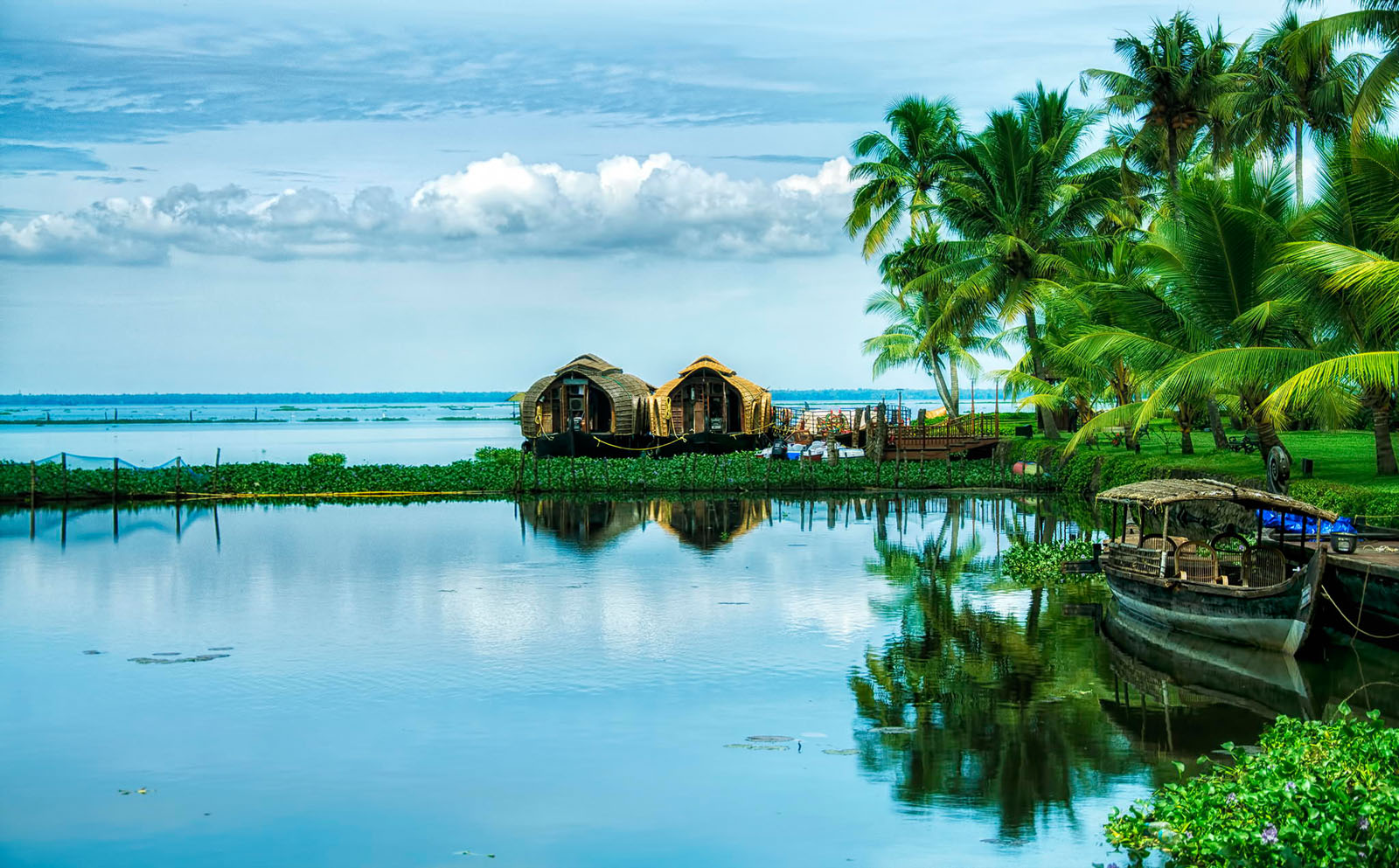 Backwaters and Beaches of South